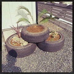 不要タイヤのみ無料で差し上げますの画像