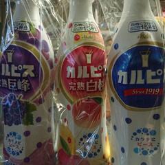 カルピス 原液 3本セット