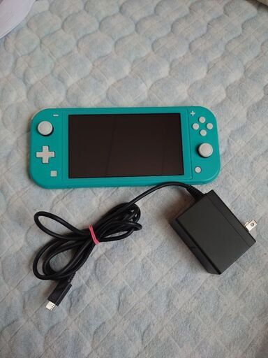 スイッチライトのターコイズです。