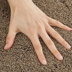 カーペットの画像