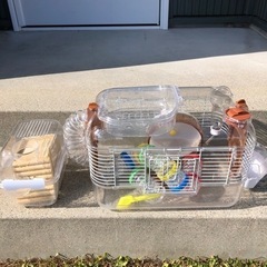 ハムスター　ケージ　飼育セット　ルックルックフォーチュン
