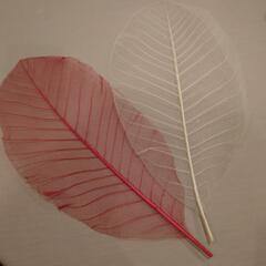オブジェ紅白葉っぱとレースの敷物