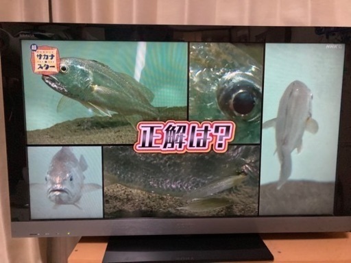 【取引き中】