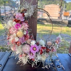 ゴアナクローの画像