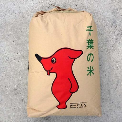 令和4年度 コシヒカリ 玄米 30kg