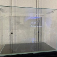 60センチハイタイプ水槽セットの画像