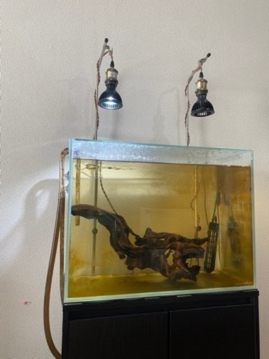 60センチハイタイプ水槽セット