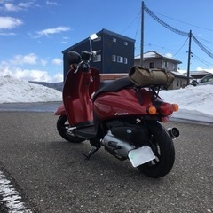 af61 トゥデイの画像