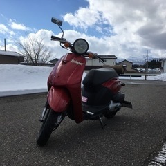 af61 トゥデイの画像