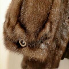 値下げ 毛皮コート 13号 名前入の画像