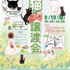 くまなんホール　ほご猫　譲渡会のお知らせ🐈