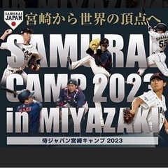 2/26 WBC 強化試合　外野4枚＋ひなた駐車場