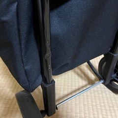 ショッピングキャリーカート　ピンクの画像