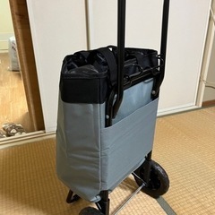美品　ショッピングキャリーカート　グレー　kakarlの画像