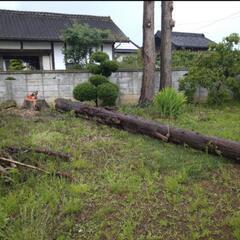 にこにこ工房　立木伐採致します。