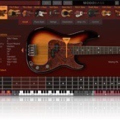 Ik multimedia Modo Bass 