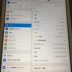 iPad mini の画像