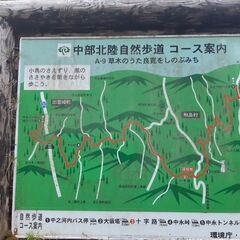 トレイルランニング仲間募集