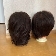 カット用ウィッグの画像