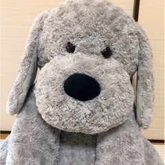 特大コストコぬいぐるみ　犬　イヌ　グレーの画像