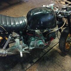 ゴリラ、モンキー①の画像