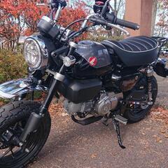 125cc～250ccツーリング☆ラーツーしませんか？ − 愛知県
