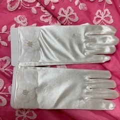 ドレスセットの画像