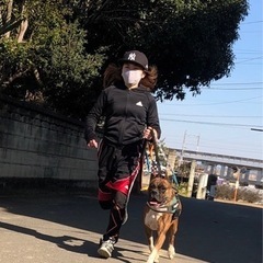 大盛況‼️ペットのお散歩代行します‼️🐕‍🦺