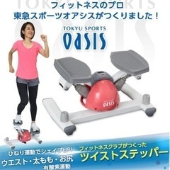 オアシス ツイストステッパー ダイエット 足踏みの画像