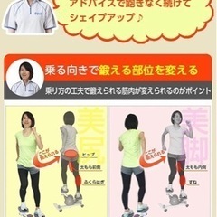 オアシス ツイストステッパー ダイエット 足踏みの画像