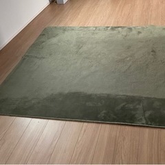 緑のカーペット