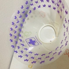 小型犬、猫用カラー