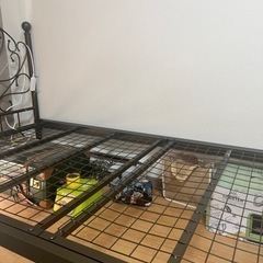 シングルベットの画像