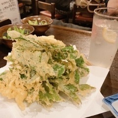 大人女子会❣️下町で八丈島郷土料理を堪能💕希少な焼酎に風情を感じる老舗人気酒場で乾杯〜💕 - 葛飾区