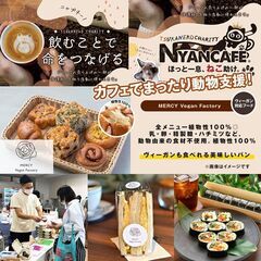 ヴィーガンのフードコート×にゃんカフェ×スフレの恩返し～芯身美茶～