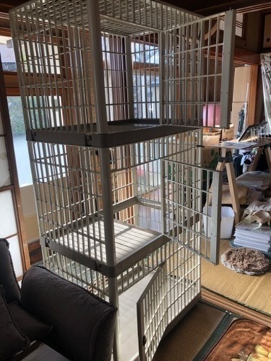 猫3段ゲージ