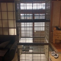 猫3段ゲージ