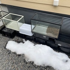 メダカや金魚の水槽