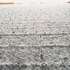 2018年製アイリスオーヤマのホットカーペットの画像