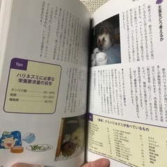 「ザ・ハリネズミ : 飼育・生態・接し方・医学がすべてわかる」の画像