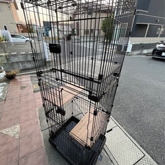 ケージ（猫用）