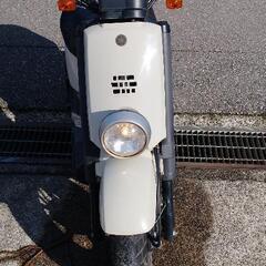 Yamaha voxの画像
