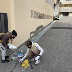 未経験歓迎！建物の外壁補修作業！の画像