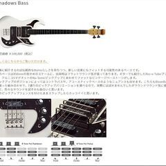 Burns Shadows Bass　　バーンズのシャドウズベースの画像