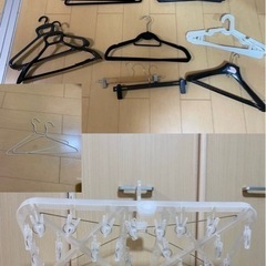 ハンガーピンチ・ハンガー多種