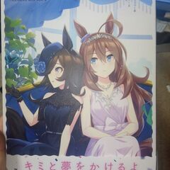 ウマ娘 プリティーダービー Season 2 トレーナーズBOX ウマ箱2 ブルーレイ  全巻セットの画像