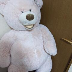 コストコ クマの画像