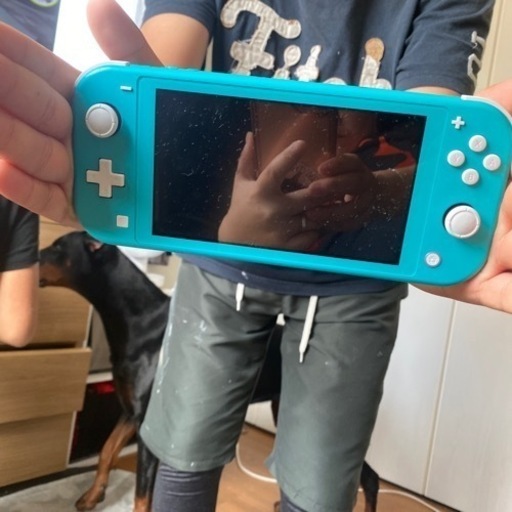 ニンテンドーSwitchライト