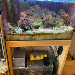 オーバーフロー水槽　海水