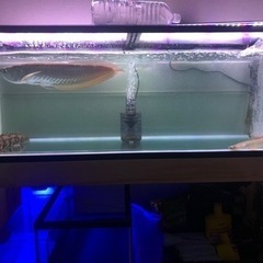 水槽1200